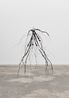 Manfrottos Dream Stump and Subterranean Roots by Josh Callaghan contemporary artwork Works on Paper