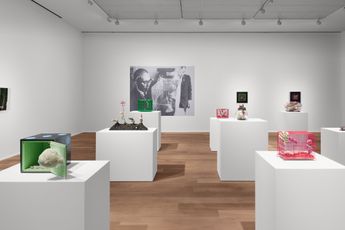 Contemporary art exhibition Tetsumi Kudo Microcosms at Hauser  Wirth London United Kingdom