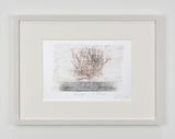 Avvolgere la terra by Giuseppe Penone contemporary artwork works on paper