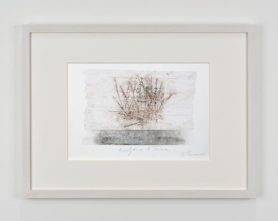 Avvolgere la terra by Giuseppe Penone contemporary artwork Works on Paper