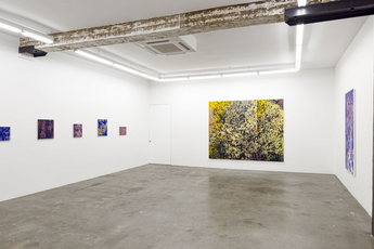 Contemporary art exhibition Dane Lovett Goodnight Room at STATION Sydney Australia