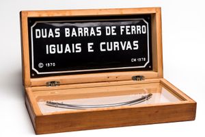 Cildo Meireles