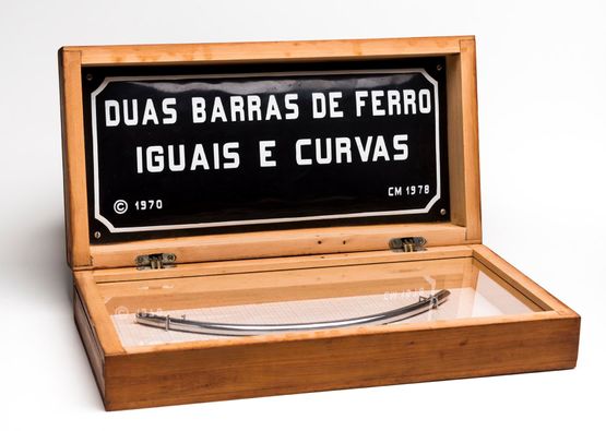 Para ser curvado com os olhos To be bent with the eyes by Cildo Meireles contemporary artwork Sculpture