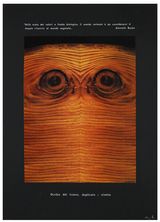 Eye of the tree trunk Eye of the double tree trunk  Owl Objet signifie by Mirella Bentivoglio contemporary artwork photography works on paper