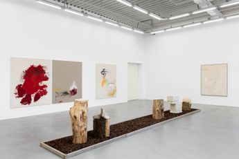 Contemporary art exhibition Jenny Brosinski In My Cloud NO Birds at Almine Rech Brussels Belgium