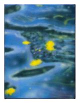 Waves and Flowers by Sicheng Wang contemporary artwork painting works on paper