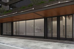 Galeria Nara Roesler contemporary art gallery in New York United States
