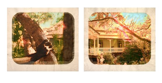 Plantation Diptych No. 11 by Tracey Moffatt contemporary artwork Works on Paper