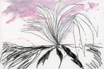 Tae Parvit contemporary artist