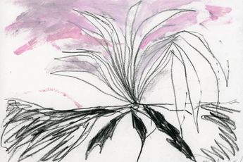 Tae Parvit contemporary artist