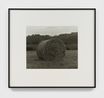 Naturpark Schwarzwald MitteNordneben BergachJune 8 2010 by Christopher Williams contemporary artwork Photography