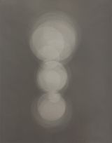 Profile No. 12 by Gavin Hipkins contemporary artwork photography