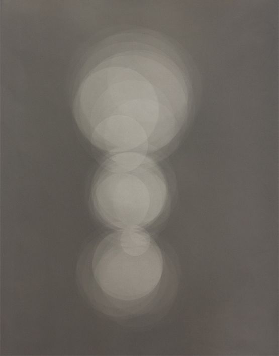 Profile No. 12 by Gavin Hipkins contemporary artwork Photography