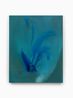 Vanda by Juliette Paull contemporary artwork Painting