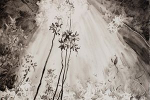 Lu Chao