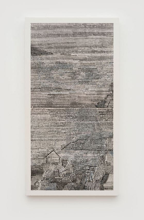 WANG JIEYIN