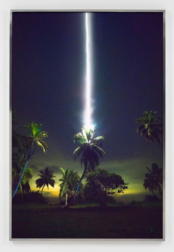 Talking to Thunder Palm tree by Julius Von Bismarck contemporary artwork Print
