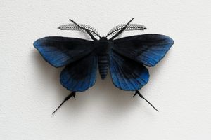 Elizabeth Thomson