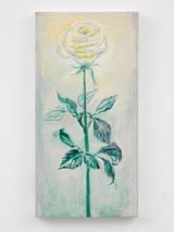 White Rose by Celia Paul contemporary artwork painting