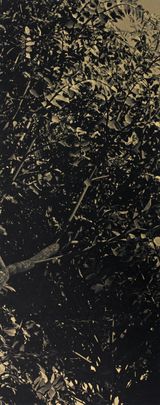 Constellation Fort Road 1 by Jason Wee contemporary artwork print sculpture