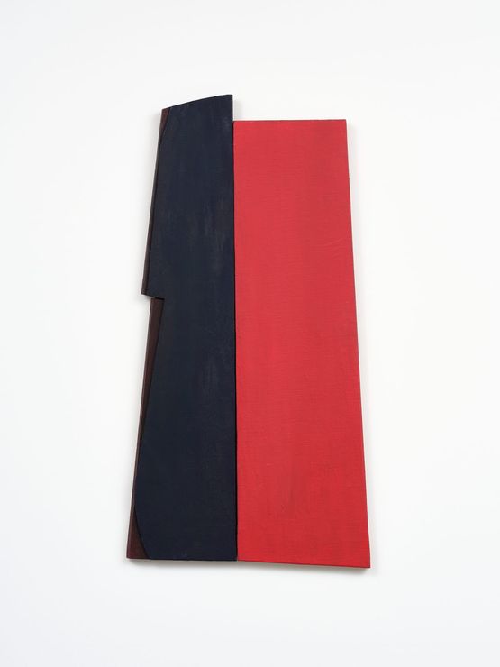 Red-Blue Myth 2 by James Ross contemporary artwork Painting