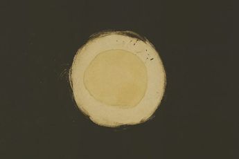 Contemporary art exhibition Adolph Gottlieb Adolph Gottlieb at Pace Gallery East Hampton United States