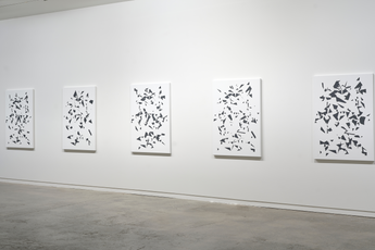 Contemporary art exhibition Jeena Shin Time Crystal at Two Rooms Auckland New Zealand