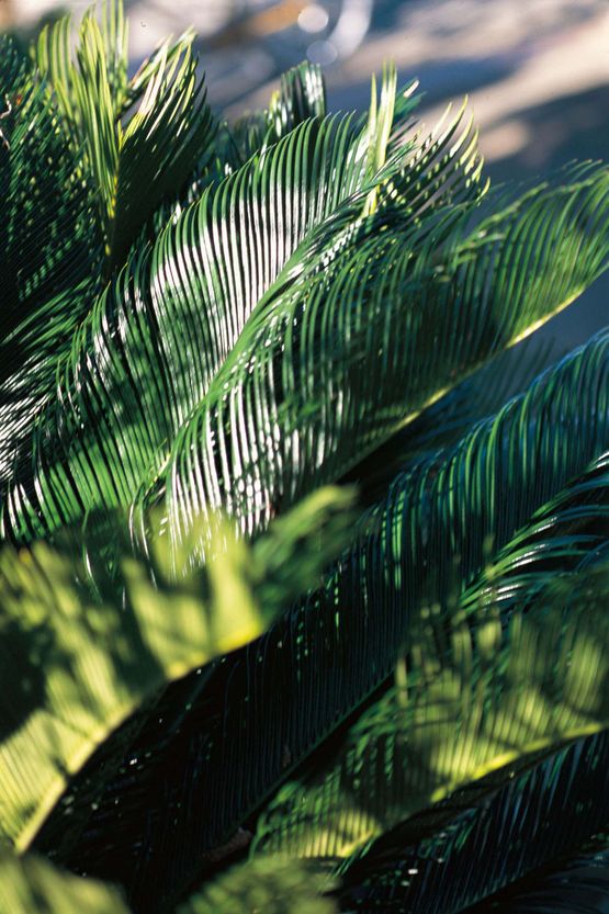 Kirikae by Takuma Nakahira contemporary artwork Photography