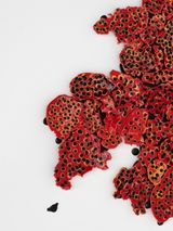 Liquen vermelho I Red Lichen I by Leo Battistelli contemporary artwork painting