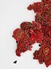 Liquen vermelho I Red Lichen I by Leo Battistelli contemporary artwork Painting