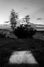 Mehr-e Khavaran II by Barbad Golshiri contemporary artwork Photography