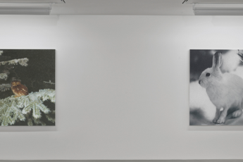 Rudolf Stingel contemporary artist