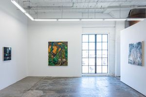 Wilding Cran Gallery  contemporary art gallery in Los Angeles United States