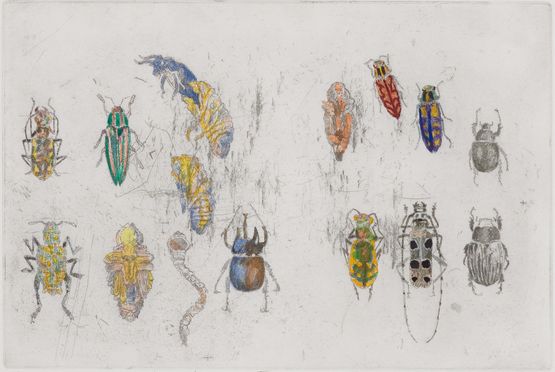 101 Insect Life Stories No 40. Coleoptera by John Wolseley contemporary artwork Print