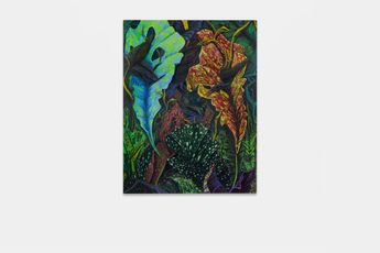Phaan Howng contemporary artist