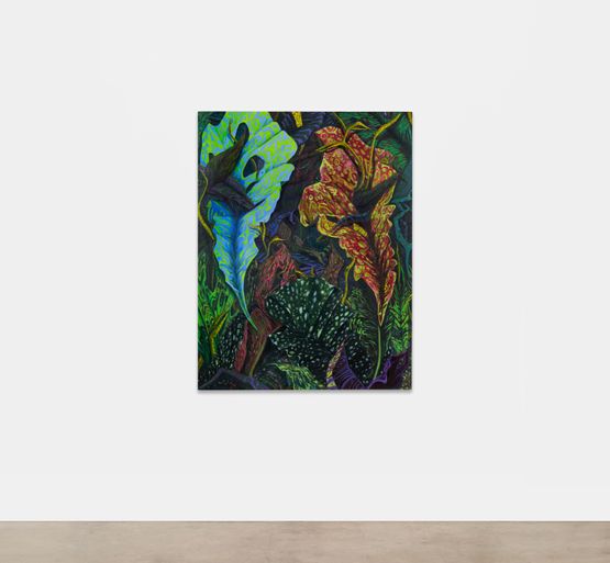 Species by Phaan Howng contemporary artwork Painting