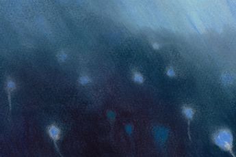 Mary Herbert contemporary artist