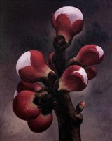 Apricot Flower No.8 by Yan Bing contemporary artwork painting
