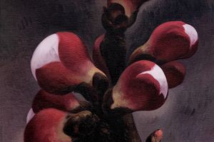 Yan Bing