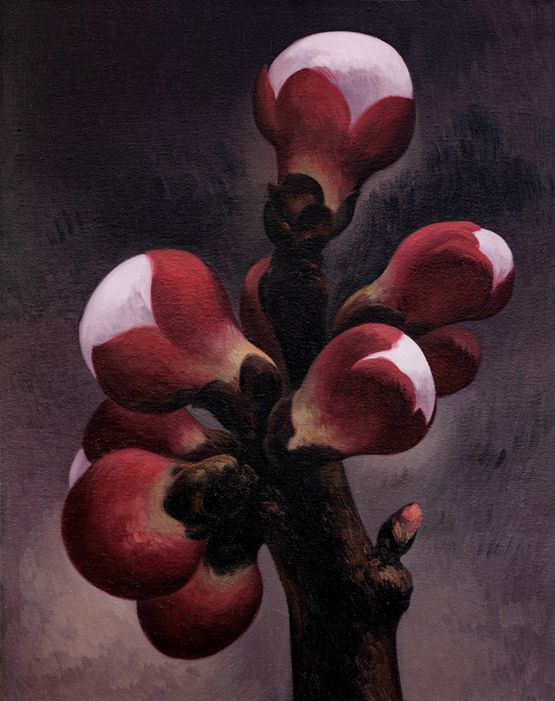 Apricot Flower No.8 by Yan Bing contemporary artwork Painting