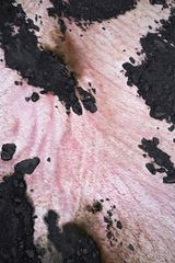 Presena Gletscher Blutschnee 9 by Thomas Wrede contemporary artwork painting