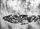 there I by Julia Steiner contemporary artwork painting works on paper