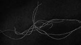 SPLINE_SKETCH_WIND by Jaki Irvine contemporary artwork moving image