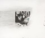 Untitled by Helen Marten contemporary artwork painting works on paper