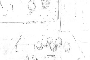 Lim Nosik
