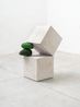 Untitled by Jose Davila contemporary artwork Sculpture