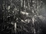 Intimate Landscape by Maryanto contemporary artwork painting
