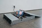 Y29B Bug by Guo Cheng contemporary artwork Mixed Media