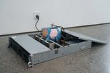 Y29B Bug by Guo Cheng contemporary artwork mixed media moving image