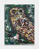 Lil Lechuza Owl by Thomas Houseago contemporary artwork Painting